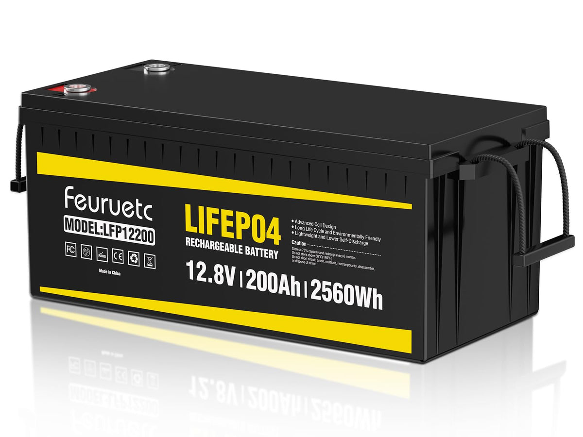 12V 200Ah LiFePO4 Deep Cycle Lithium Battery with 200A BMS V877
