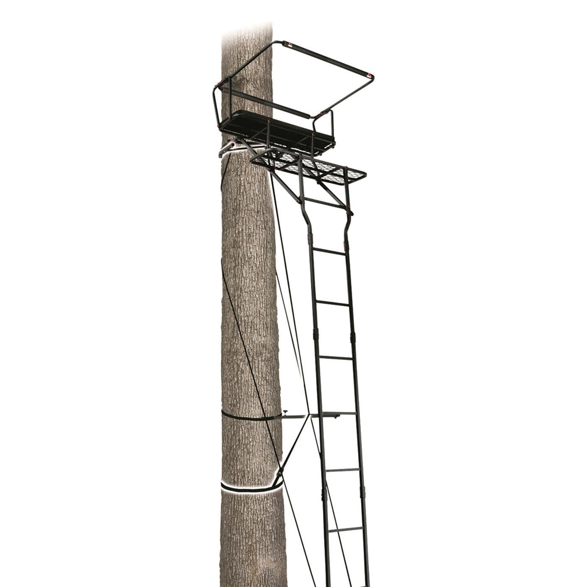 15’ Two-Person Ladder Tree Stand R2164
