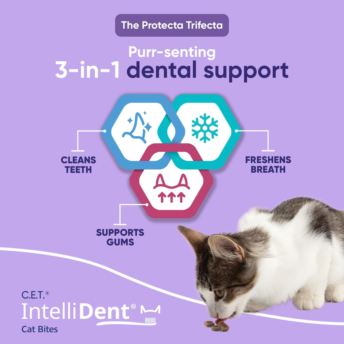 Cat Dental Care I9021