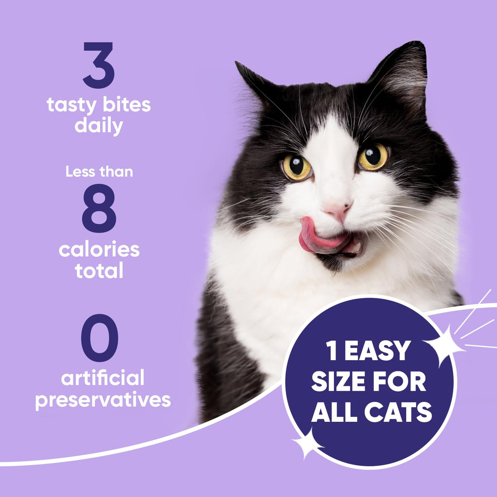 Cat Dental Care I9021