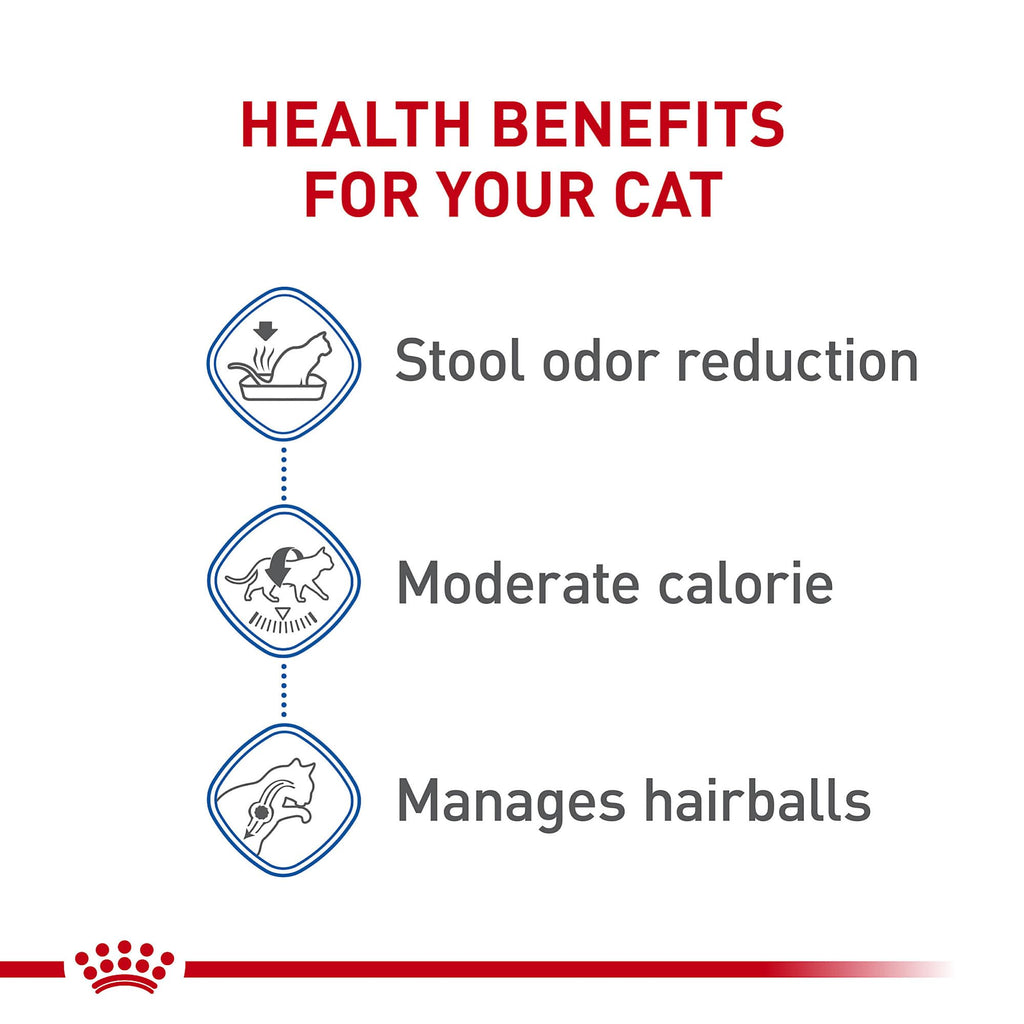 Indoor Adult Dry Cat Food 15 lb Bag Q9347