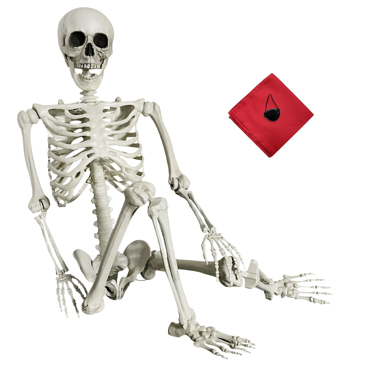 Life Size Skeleton with Posable Joints S7516