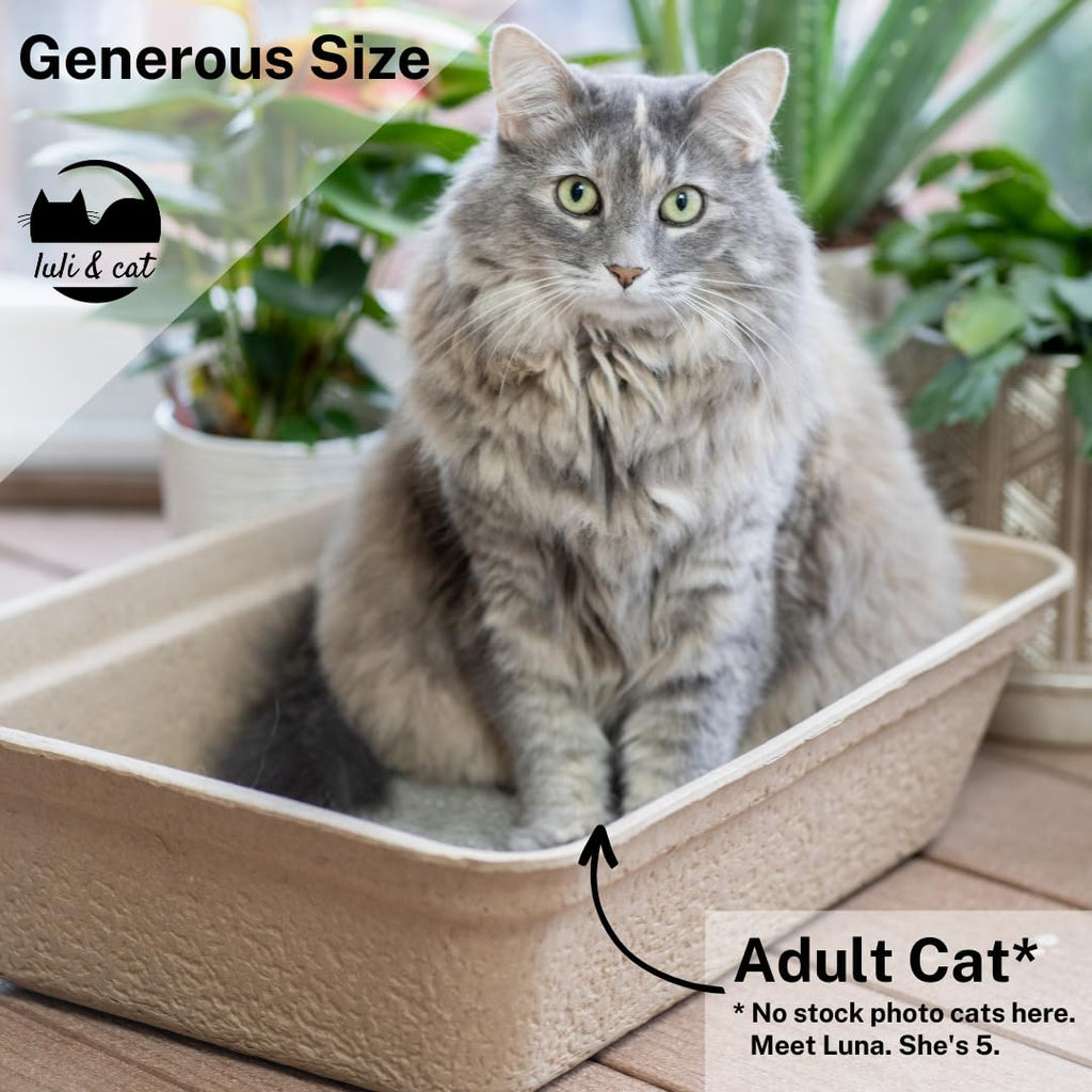 Disposable Litter Boxes 4-Pack D4542