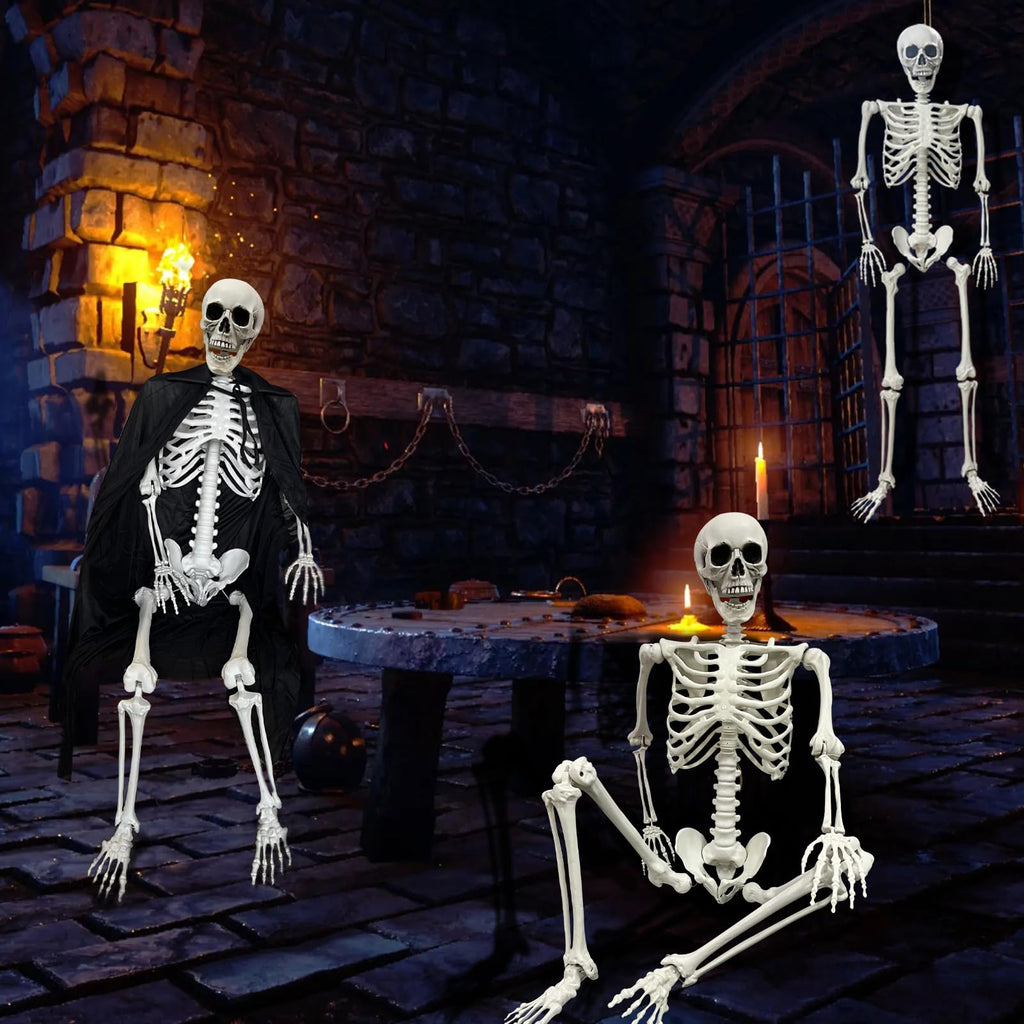 Life Size Skeleton with Posable Joints S7516