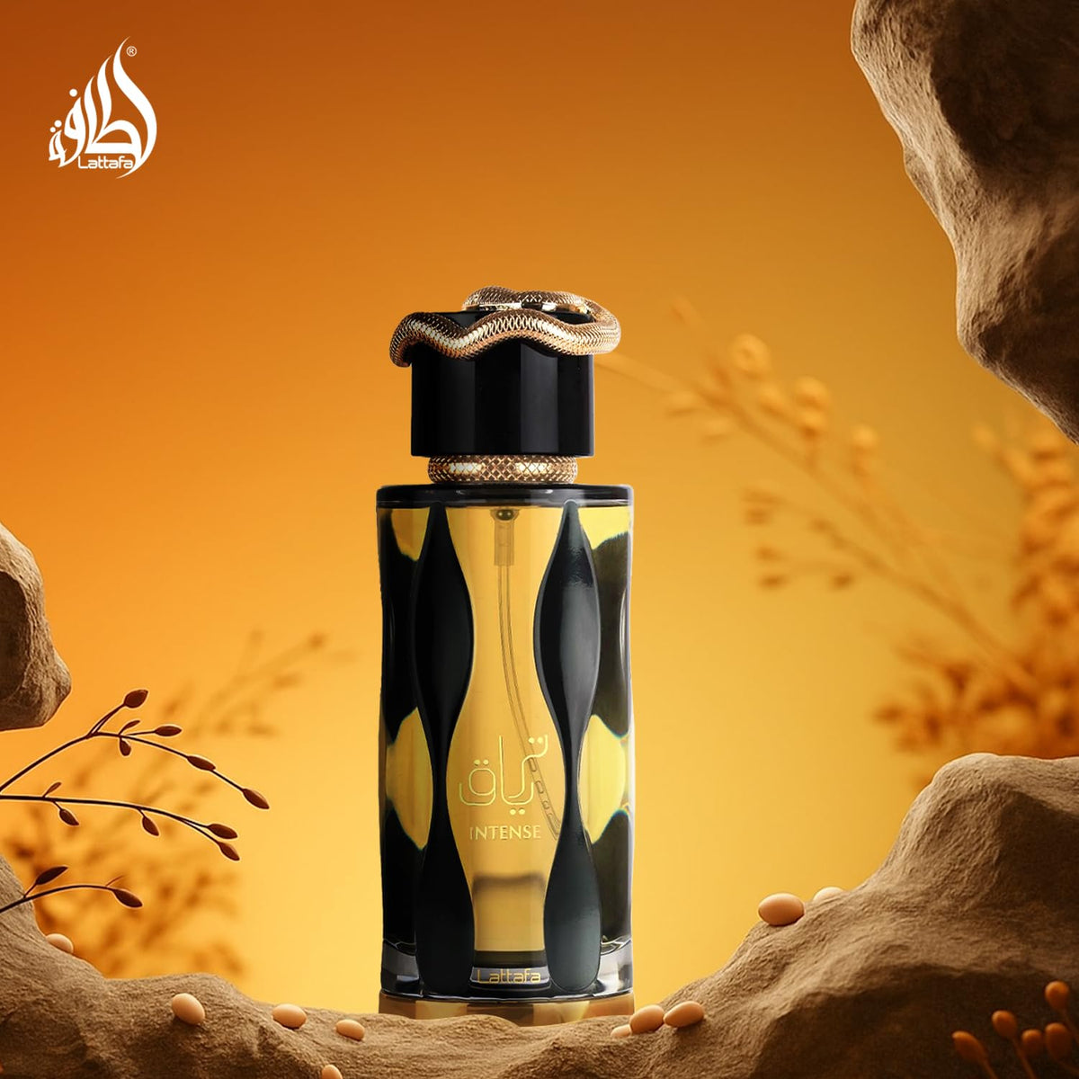 Eau de Parfum Spray 3.4 Ounce / 100 ml K699