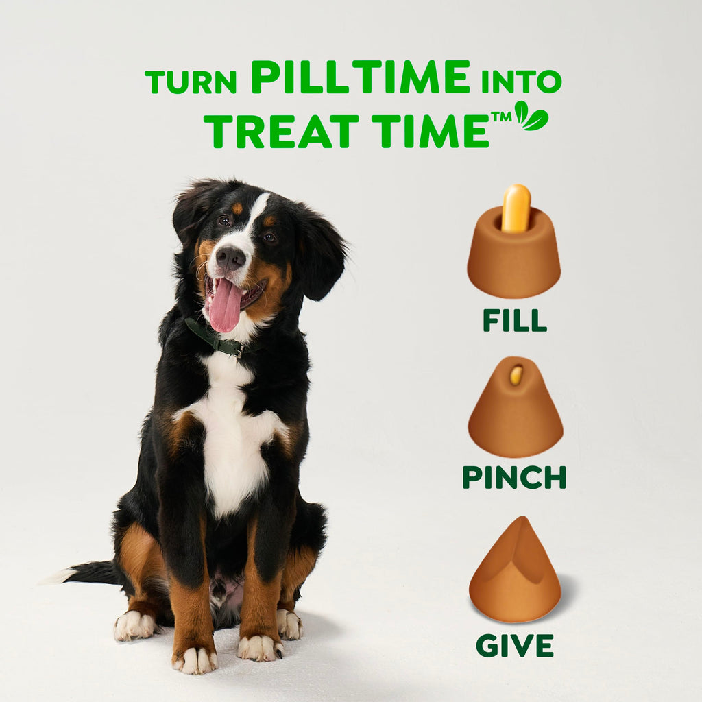 Peanut Butter Large Size Dog Treats 15.8 oz P13404