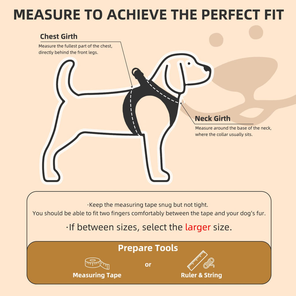 Dog Harness, Collar and Leash Set P835
