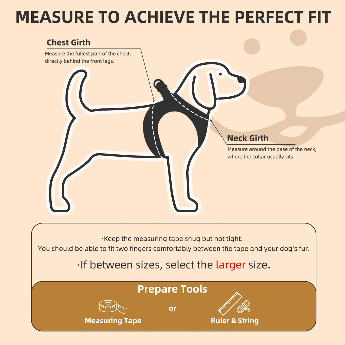 Dog Harness, Collar and Leash Set P835