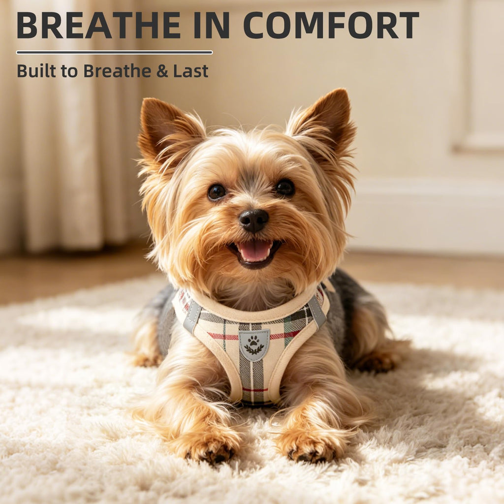 Dog Harness, Collar and Leash Set P835