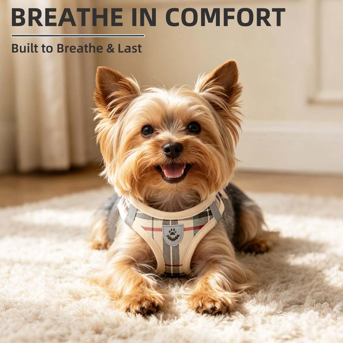 Dog Harness, Collar and Leash Set P835