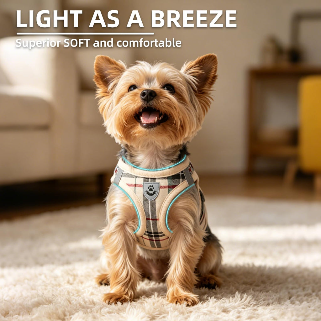 Dog Harness, Collar and Leash Set P835