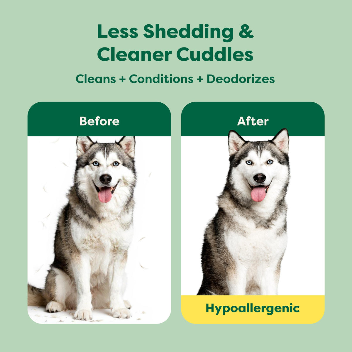 Hypoallergenic Dog Shampoo & Conditioner, 16 oz J25217