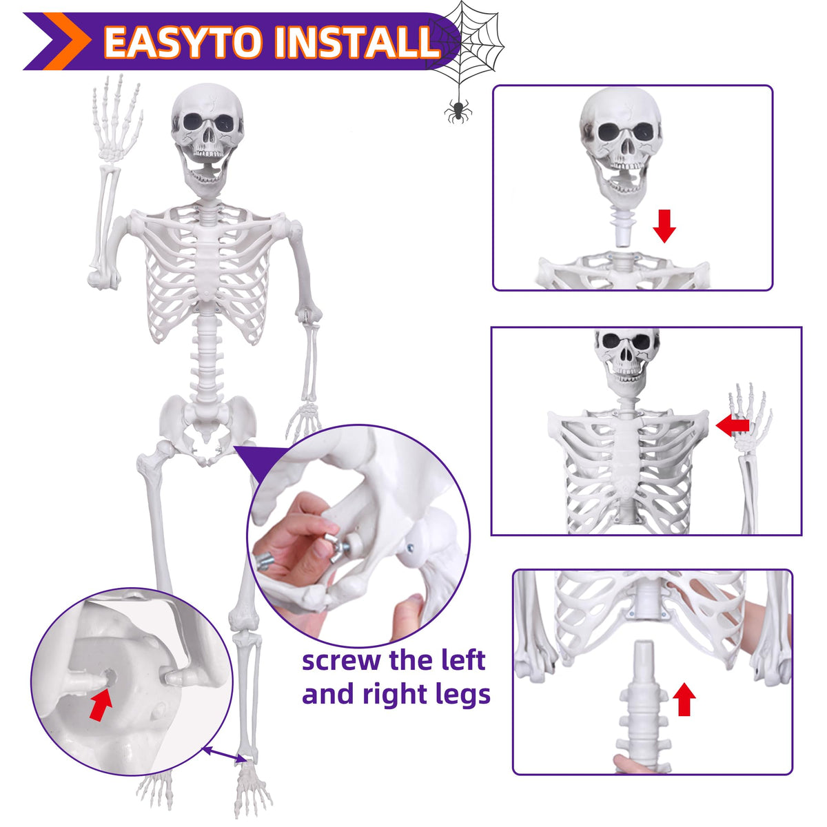 Life Size Skeleton with Posable Joints S7516