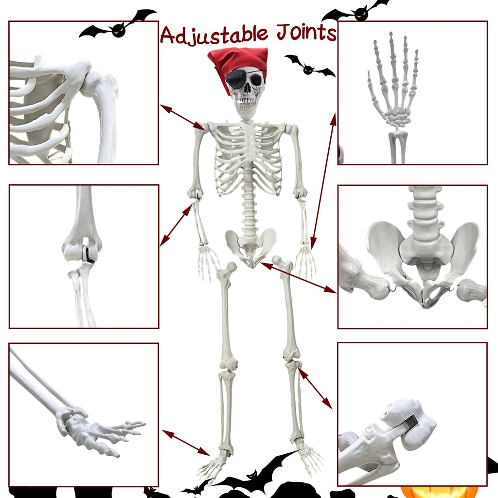 Life Size Skeleton with Posable Joints S7516