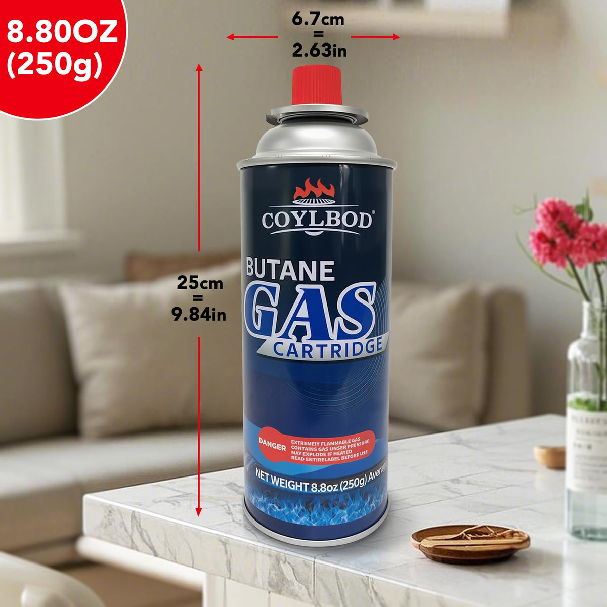 Butane Fuel Canister P608