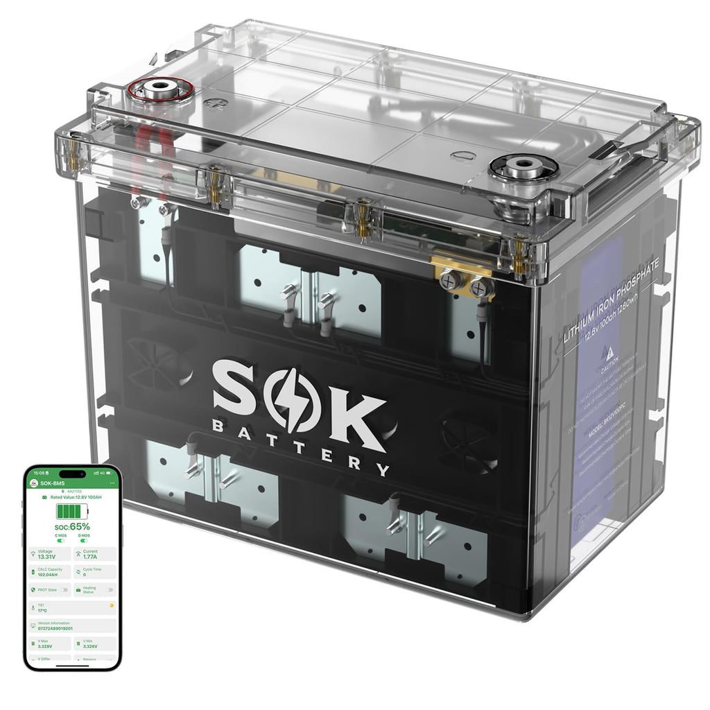 12V 100Ah LiFePO4 Marine Battery BCI Group 24 T529