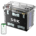 12V 100Ah LiFePO4 Marine Battery BCI Group 24 T529