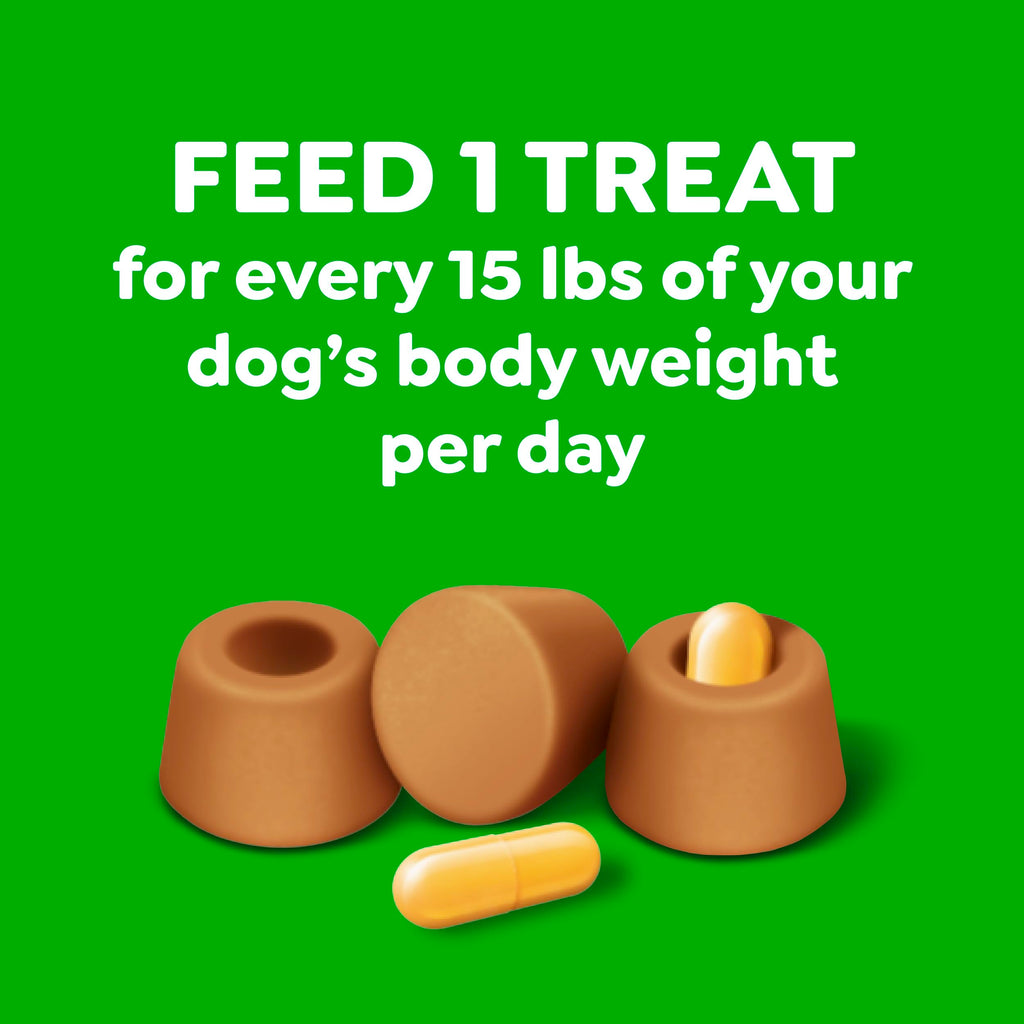 Peanut Butter Large Size Dog Treats 15.8 oz P13404