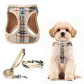 Dog Harness, Collar and Leash Set P835