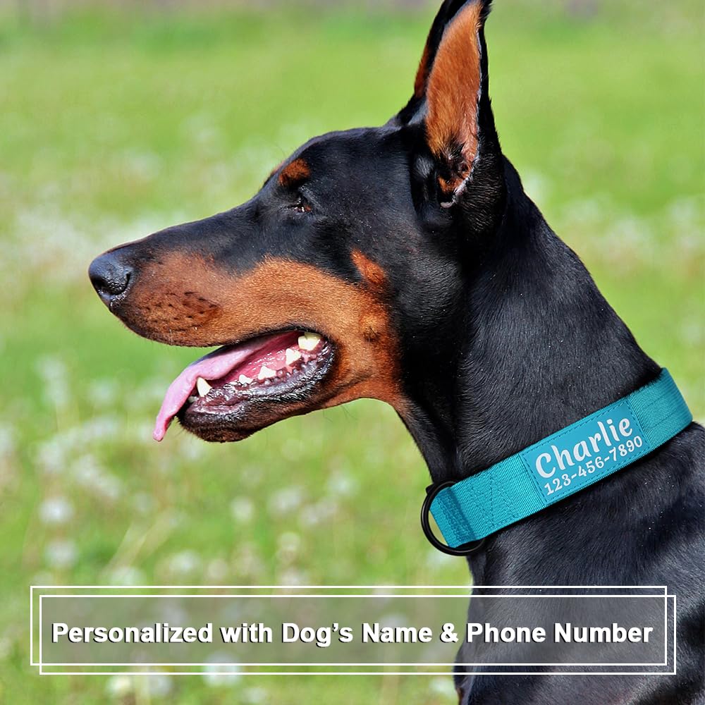 Tactical Dog Collar with Name and Phone Number A658