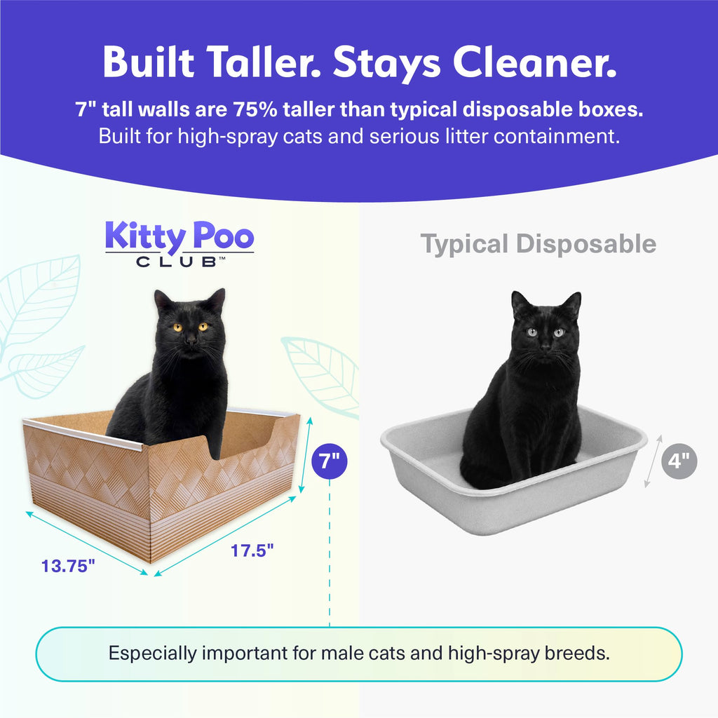 Disposable Cat Litter Box 2-Pack Y670310