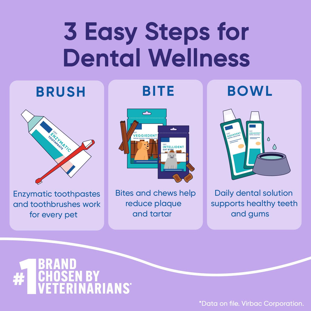 Cat Dental Care I9021