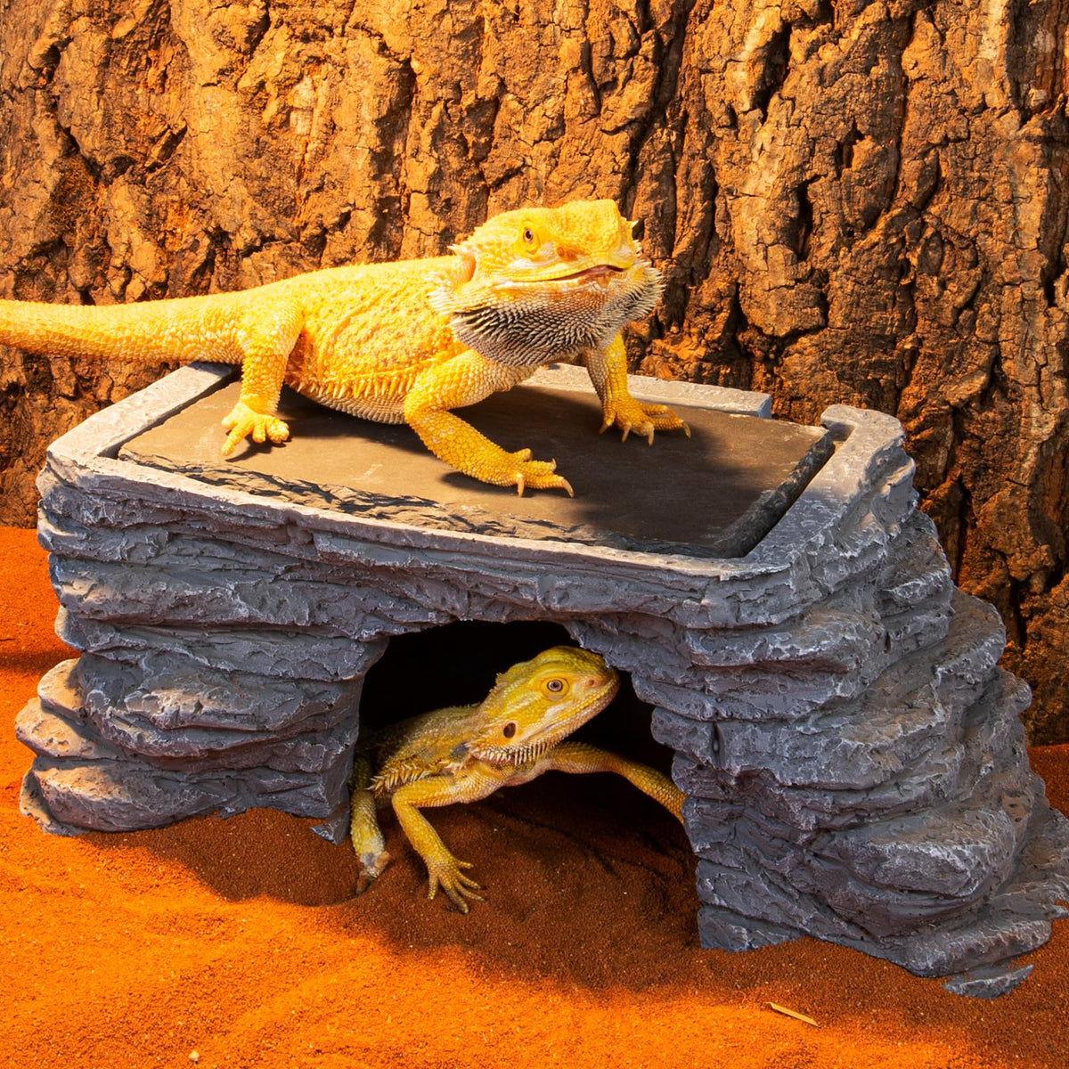 UVB Reptile Light with Basking Platform Combo Kit D650