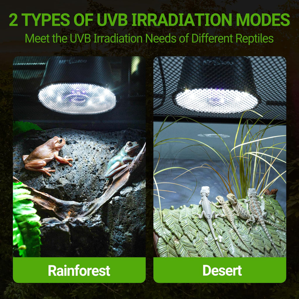 UVB Reptile Light with Basking Platform Combo Kit D650
