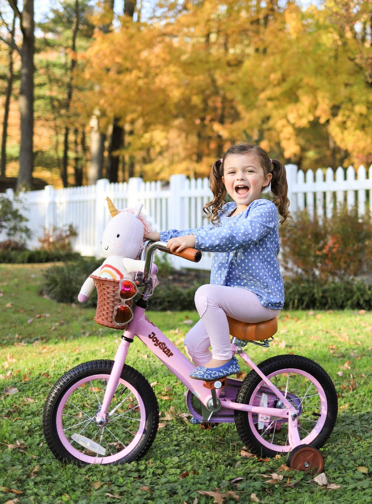 12-16" Kids Bike with Training Wheels W161