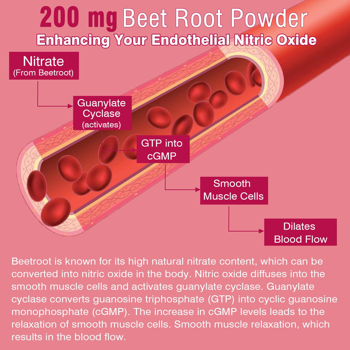 Beet Root Gummies with Iron K4127