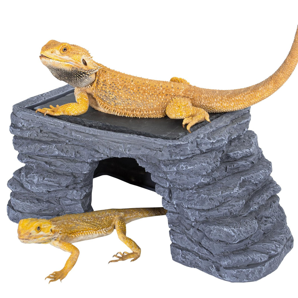 UVB Reptile Light with Basking Platform Combo Kit D650