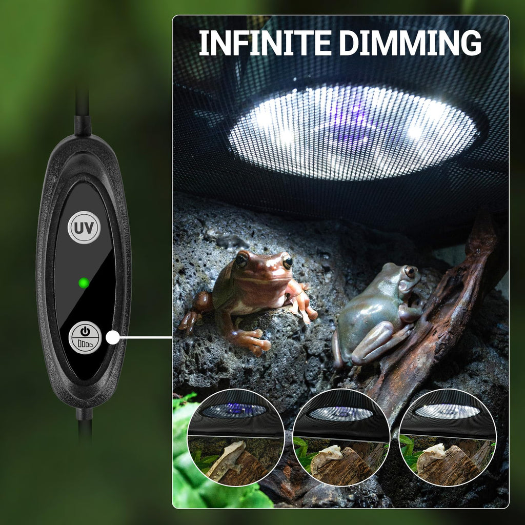 UVB Reptile Light with Basking Platform Combo Kit D650