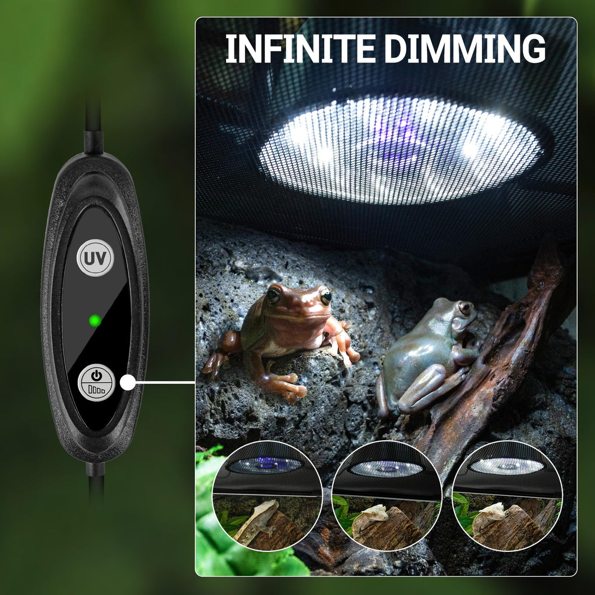 UVB Reptile Light with Basking Platform Combo Kit D650