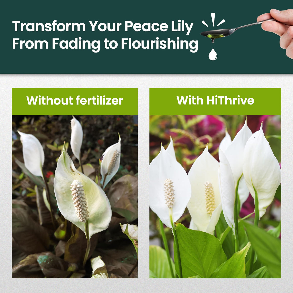 16oz Fertilizer W637