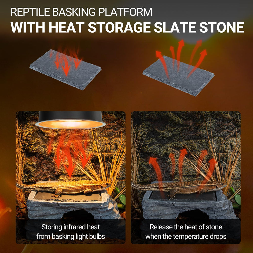 UVB Reptile Light with Basking Platform Combo Kit D650