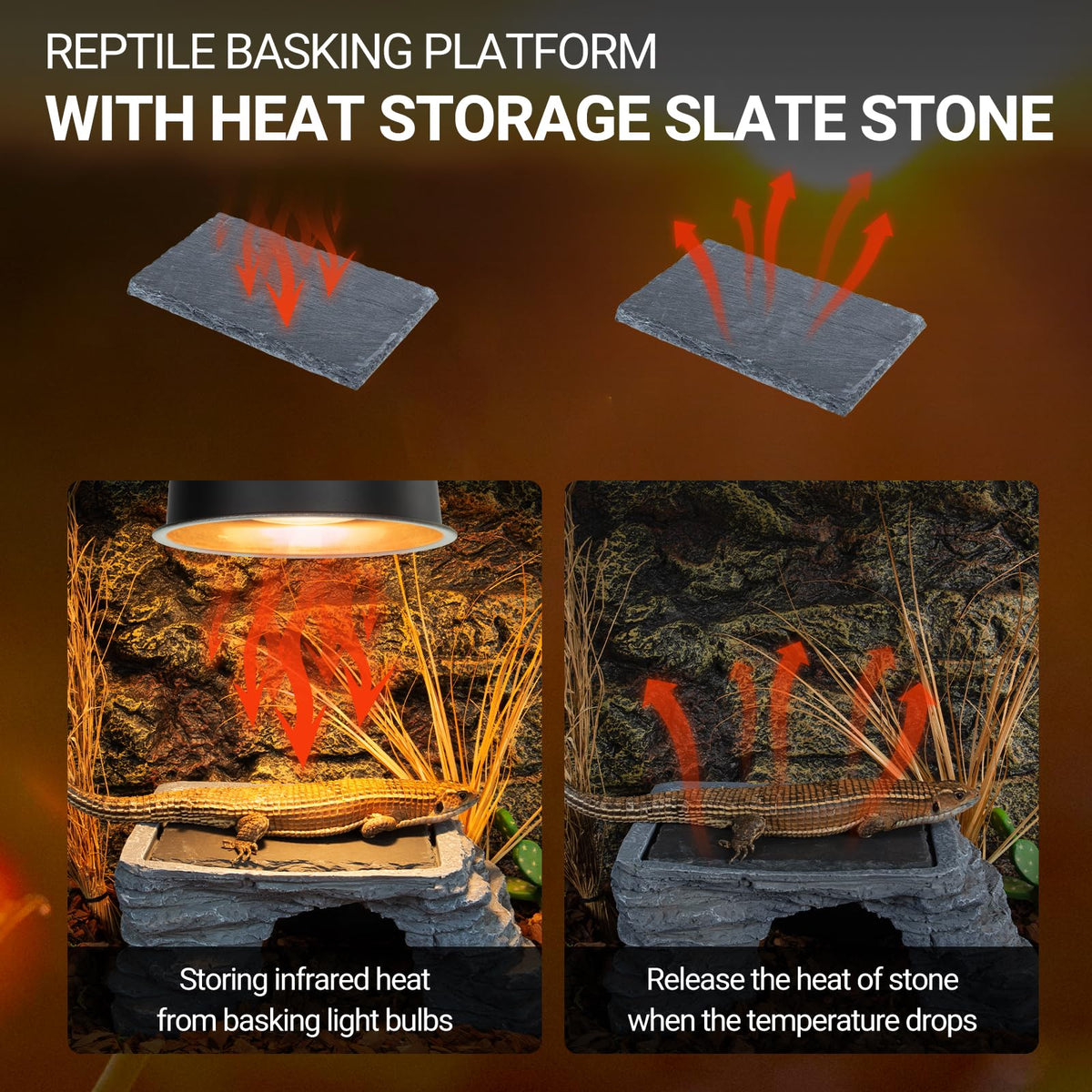 UVB Reptile Light with Basking Platform Combo Kit D650