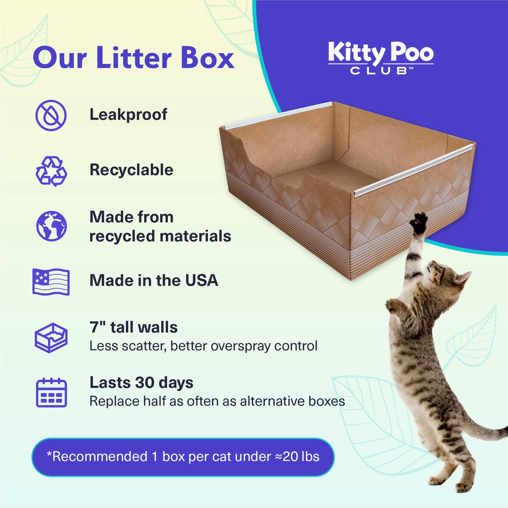 Disposable Cat Litter Box 2-Pack Y670310