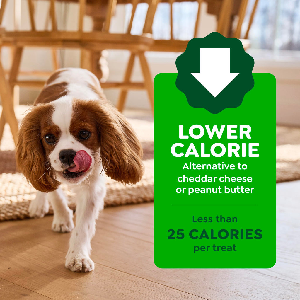 Peanut Butter Large Size Dog Treats 15.8 oz P13404