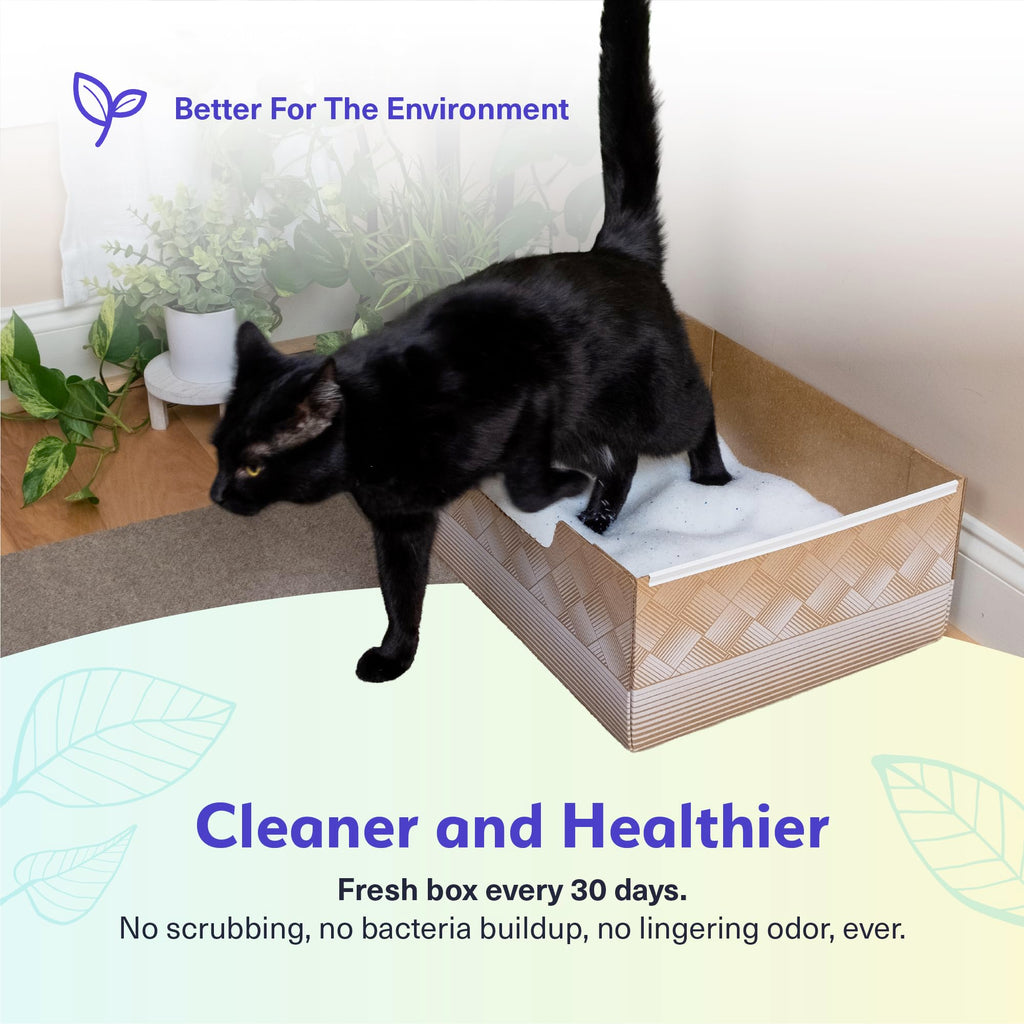 Disposable Cat Litter Box 2-Pack Y670310