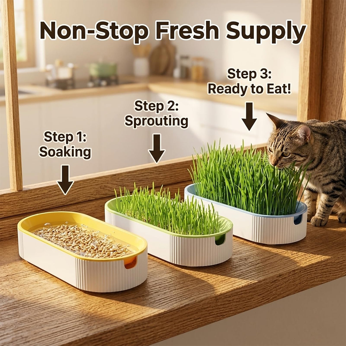 3 Pack Soil Free Cat Grass Kit J303066