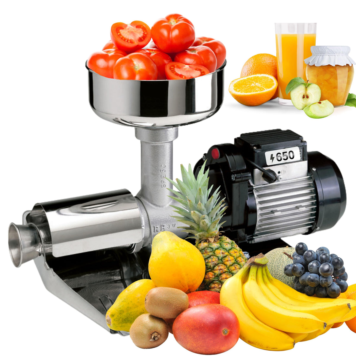 Electric Tomato Strainer 650W Y776