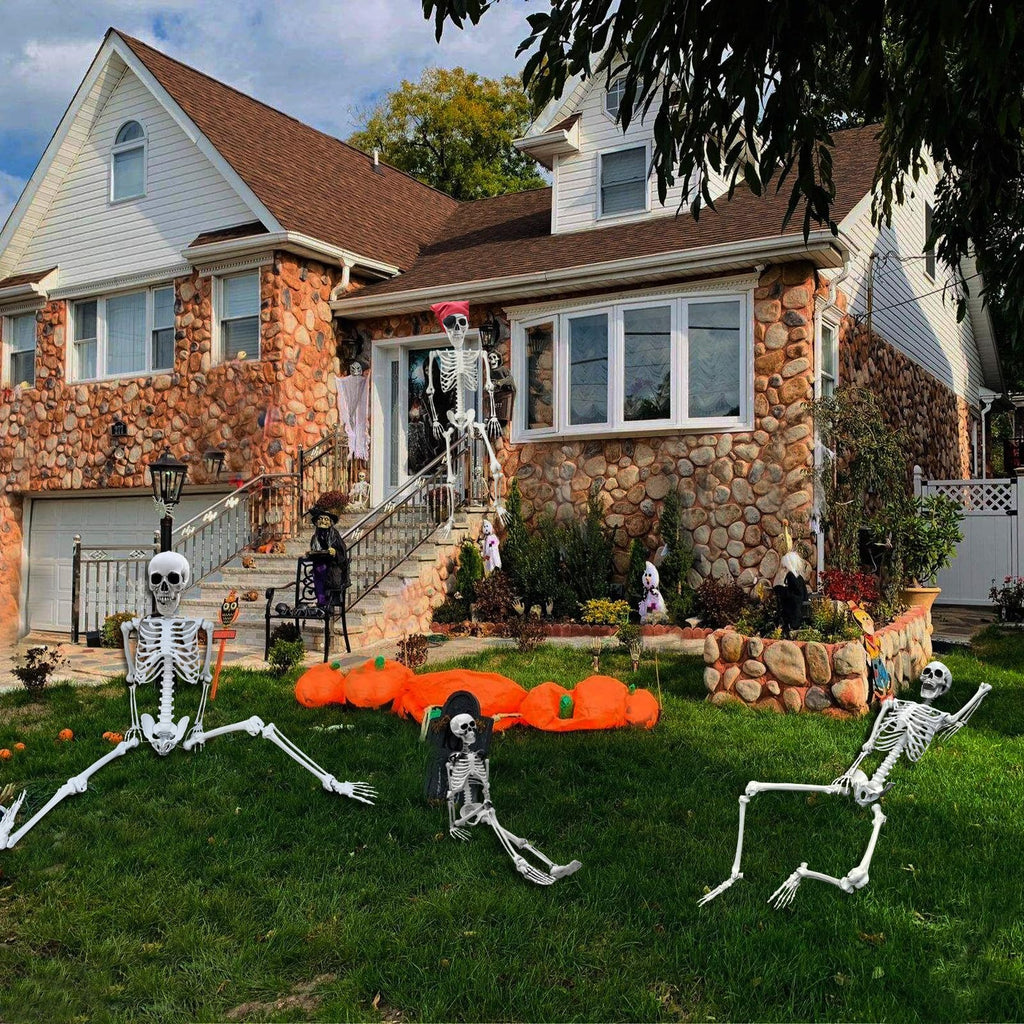 Life Size Skeleton with Posable Joints S7516