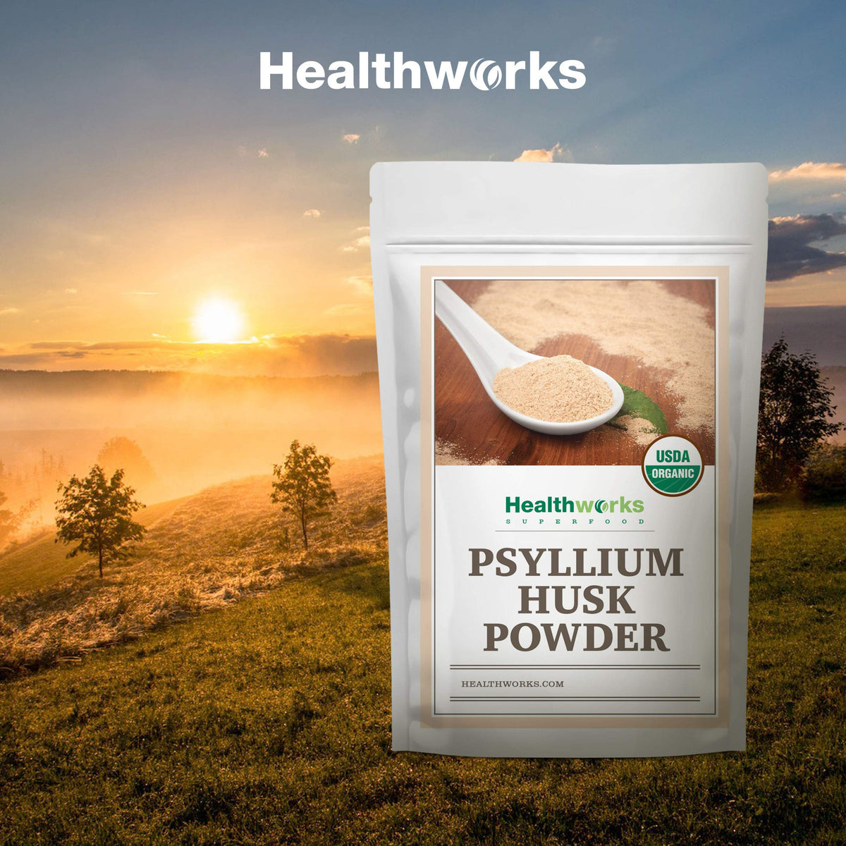 Organic Psyllium Husk Powder 2 lb T801